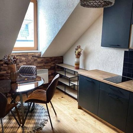 Cozy And Warm Apartment In The Heart Of Karlsbad Eksteriør billede