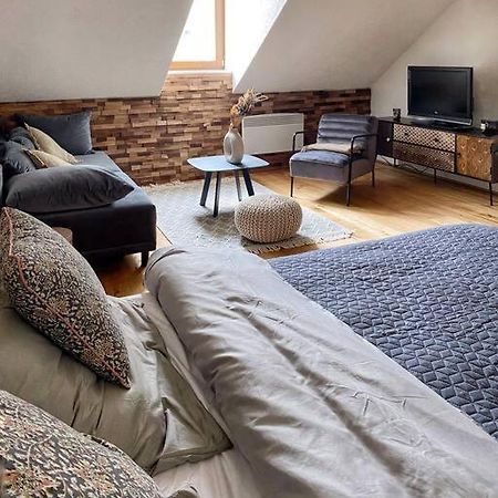 Cozy And Warm Apartment In The Heart Of Karlsbad Eksteriør billede